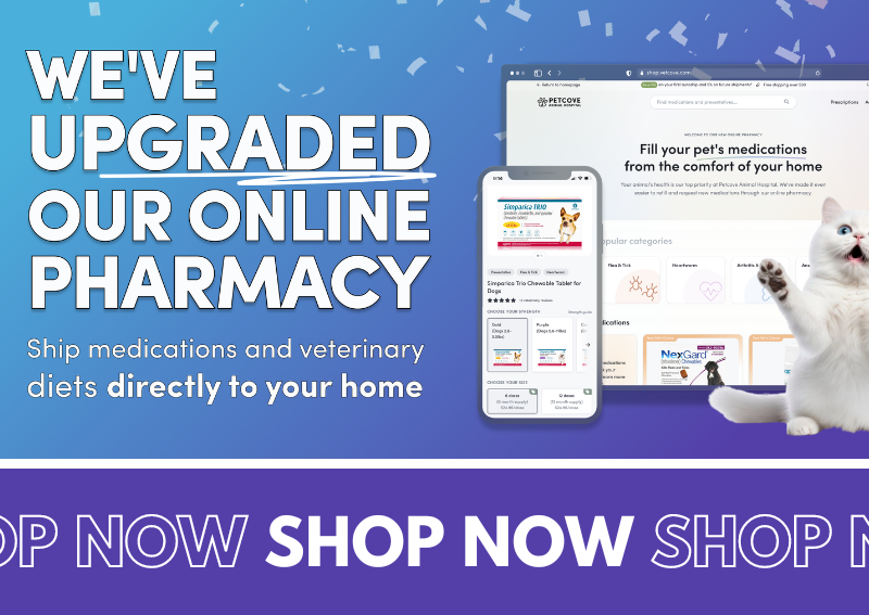 Carousel Slide 3: Shop our new and improved online pet pharmacy!