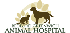 Link to Homepage of Bedford Greenwich Animal Hospital